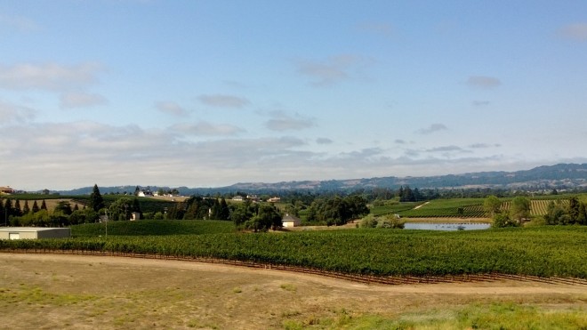 View of Napa Valley from William Hill